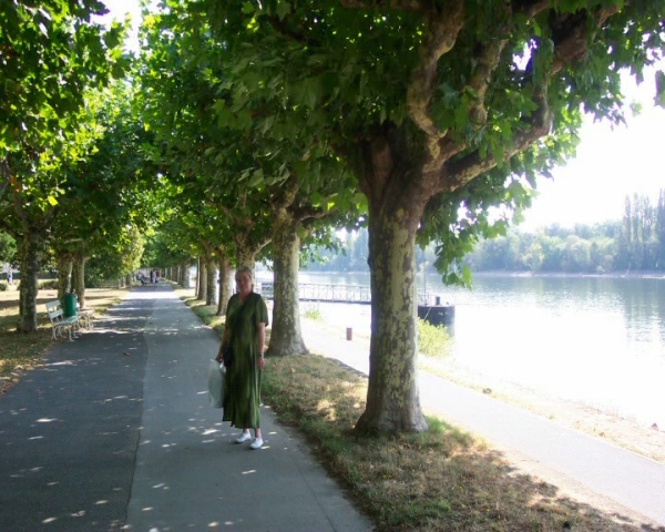 PDVD_118.jpg - Rüdesheim direkt an der Promenade :)